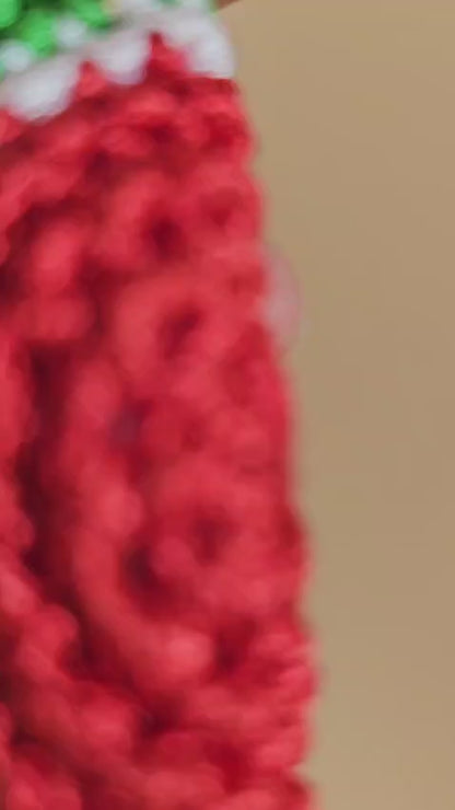 Chrochet Keychain/Handbag Accessory- Watermelon